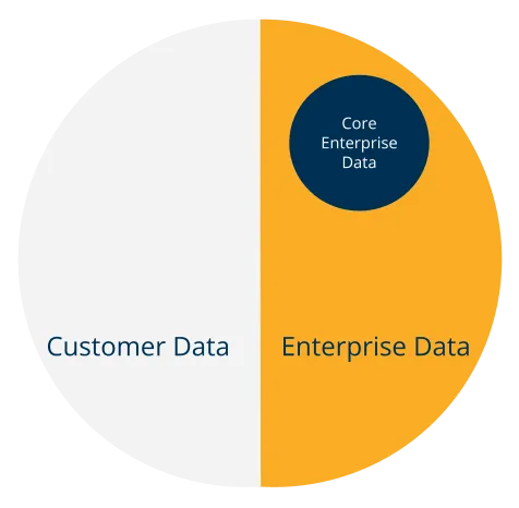 Customer Data vs Enterprise Data